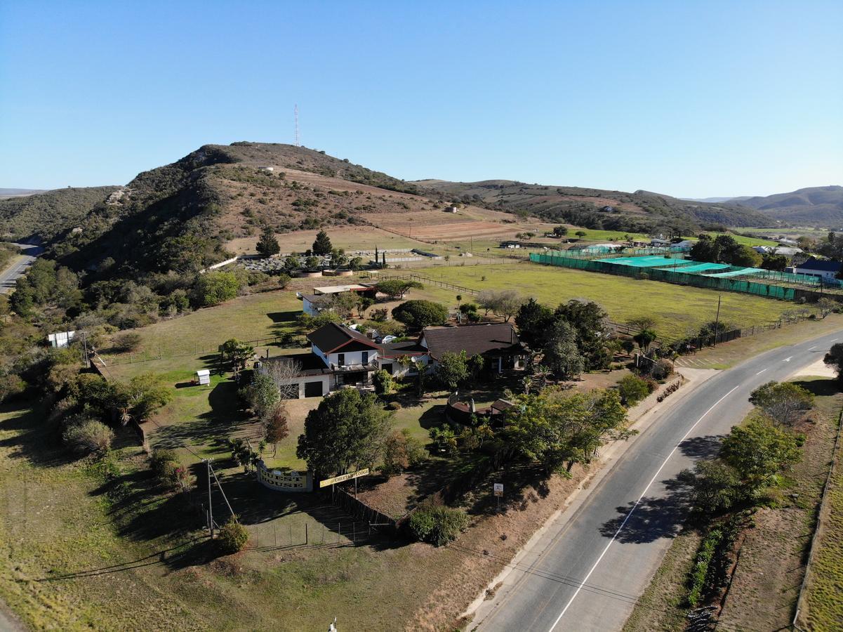 Cheetah Lodge Guest House Hartenbos Exterior photo